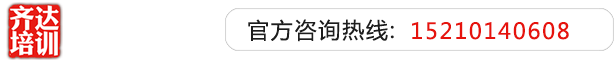 操少萝小穴齐达艺考文化课-艺术生文化课,艺术类文化课,艺考生文化课logo